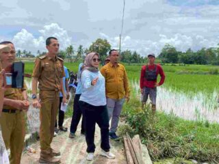 Tanggapi Keluhan Warga, DPRD Lamsel Turun ke Kalirejo Survei Lapangan