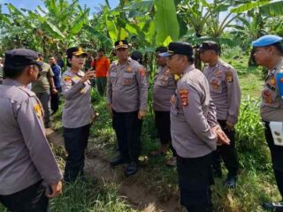 Respon Cepat, Kapolres, Bupati dan Dandim Tangani Kasus Gajah Liar di Braja Asri