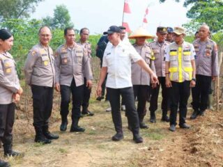 Kapolres Lampung Timur Dampingi Irwil III Itwasum Mabes Polri Tinjau Lahan Jagung Program Ketahanan Pangan