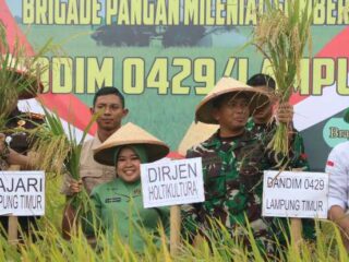 Hadiri Panen Raya Padi, Dandim: Bersama Kita Bisa Wujudkan Swasembada Pangan