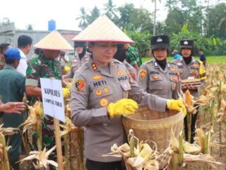 Hadiri Panen Raya Kuartal III 2025, Kapolres Lampung Timur Dukung Swasembada Pangan Nasional