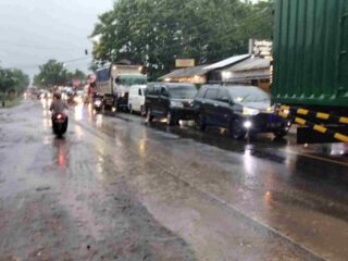 Pohon Akasia Tumbang Timpa Mobil di Sruweng, Lalu Lintas Sempat Tersendat