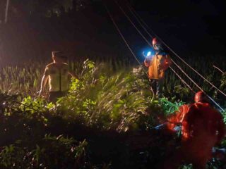 Pohon Tumbang Timpa Tiang Listrik, Polsek Buluspesantren Bergerak Cepat di Tengah Malam