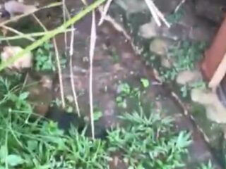 Warga Pondok Aren Keluhkan Limbah Dapur MBG Cemari Halaman Rumah