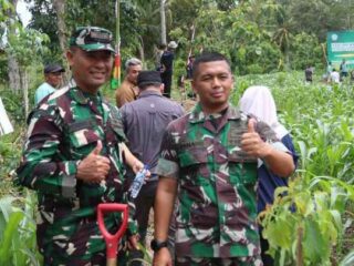 Dandim 0429/Lamtim Hadiri Penanaman Serentak di Provinsi se-indonesia