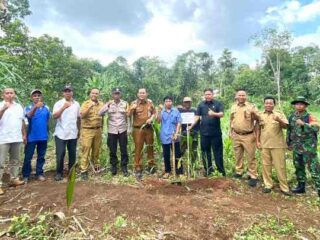 Gelar Penanaman Perdana, Paguyuban Kelompok Tani Kakao Pesawaran Dorong Peremajaan Komoditas Unggulan Daerah