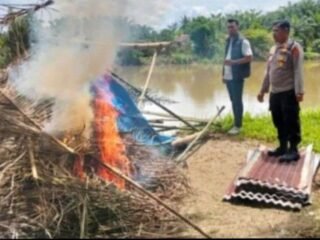 Polsek Tanjung Pura Kembali Bakar Sarang Narkoba, Kali ini di Desa Teluk Bakung