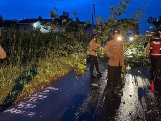Polres Lampung Timur Kembali  Tunjukkan Komitmen Pelayanan, Kali ini Evakuasi Pohon Tumbang di Gedung Dalem