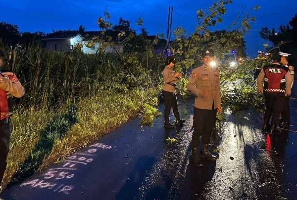 Polres Lampung Timur Kembali  Tunjukkan Komitmen Pelayanan, Kali ini Evakuasi Pohon Tumbang di Gedung Dalem