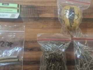 Bongkar Kasus Narkoba, Polrestabes Surabaya Amankan Pengedar Ganja