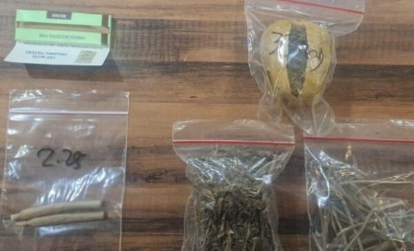 Bongkar Kasus Narkoba, Polrestabes Surabaya Amankan Pengedar Ganja