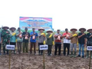 Dukung Program Ketahanan Pangan, Polres Lampung Timur Tanam Jagung Serentak Kuartal I Tahun 2026