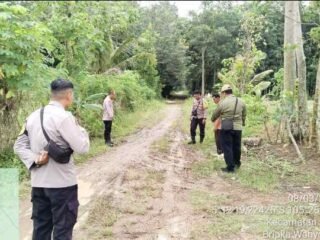 Polsek Sekampung Respon Cepat Kasus Pencurian Sapi di Mekar Mukti