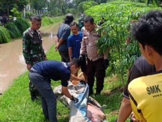 Mayat Tanpa Busana  di Temukan Mengambang di Saluran Irigasi