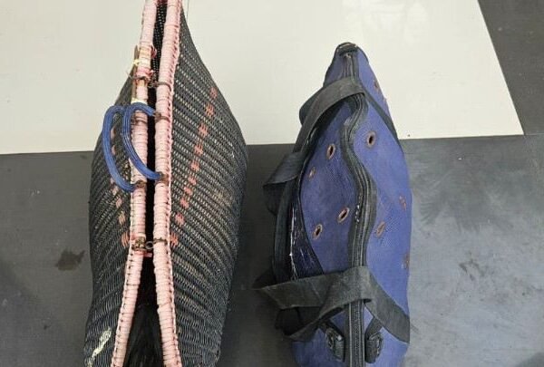 Gerebek Arena Judi Sambung Ayam, Polsek Way Jepara Borgol 4 Pelaku