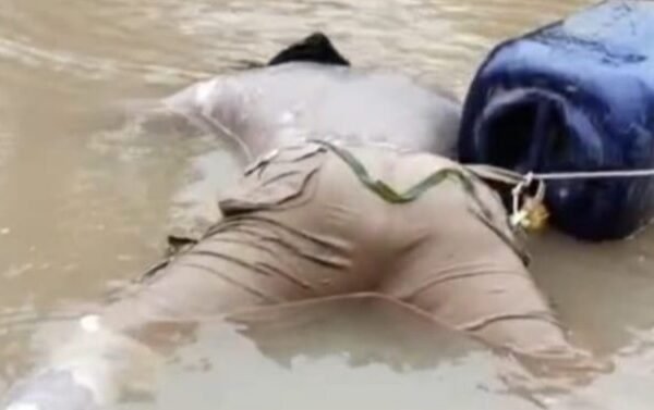 Dua Hari Hanyut di Sungai Umpu, 2 Remaja di Way Kanan Akhirnya di Temukan 