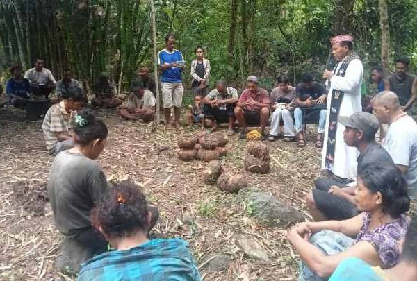 Romo Bernard Palus Pimpin Ibadat Ekologis Panen Porang Kelompok Tani KOMPAS di Wae Tenda