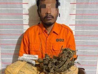 Polsek Bahorok Gagalkan Peredaran 2 Kg Ganja di Bukit Lawang, Satu Warga di Amankan