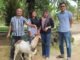 Sambut Idul Adha, DPC PSI Mesuji Bagikan Sapi dan Kambing di 7 Kecamatan