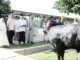 Dandim 0429/Lampung Timur Serahkan Hewan Kurban Usai Sholat Idul Adha