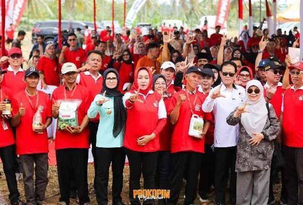 Dukung Penguatan Ketahanan Pangan, GNTI Gelar Panen Raya Jagung di Pesawaran