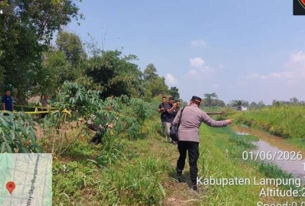 Usai Tangkap Pelaku Utama, Kini Polres Lampung Timur Ringkus Pembantu Pembunuhan di Labuhan Maringgai