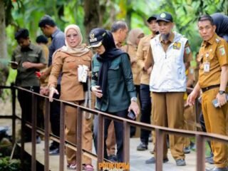 Bupati Nanda Tinjau Sejumlah Infrastruktur di Kecamatan Punduh Pedada dan Marga Punduh