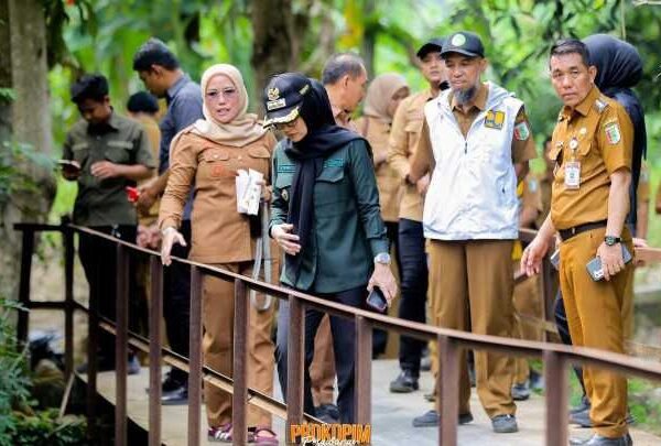 Bupati Nanda Tinjau Sejumlah Infrastruktur di Kecamatan Punduh Pedada dan Marga Punduh