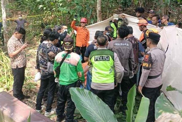Niat Petik Buah Kelapa, Lansia di Rembang Meninggal di Atas Pohon