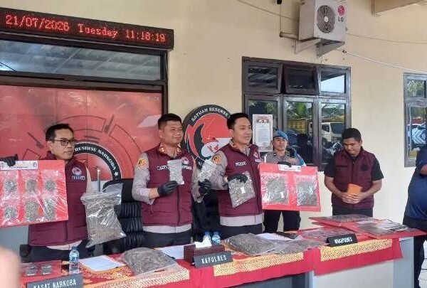Polres Cianjur Ungkap Peredaran Ganja 14,819 Kg, Dua Pelaku Diamankan