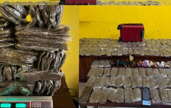 Ungkap Peredaran Narkoba, Polresta Sorong Amankan 5,4 Kg Ganja