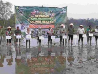 Gerakan Tanam Padi 50 Ribu Ha Digelar, Lampung Timur Jadi Titik Fokus Lampung