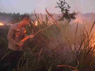 Kapolres Lampung Timur Pimpin Pemadaman Karhutla di Way Kambas, 673,4 Hektare Lahan Terdampak
