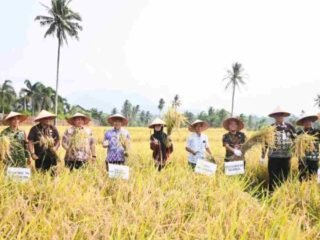 Nanda Indira Tekankan Penguatan Pendampingan Petani untuk Jaga Produktivitas Pertanian