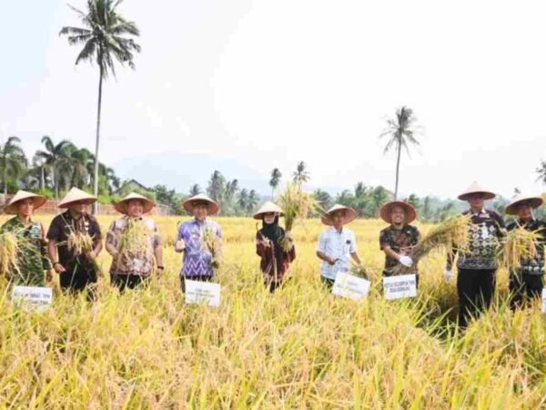 Nanda Indira Tekankan Penguatan Pendampingan Petani untuk Jaga Produktivitas Pertanian