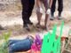 Gegerkan Warga Mesuji, Mayat Wanita Berambut Pirang Ditemukan di Kebun Sawit