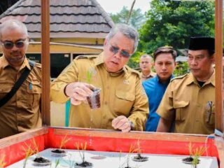 Pemkot Tangsel Uji Coba Tanam Padi Apung di Tandon Ciater